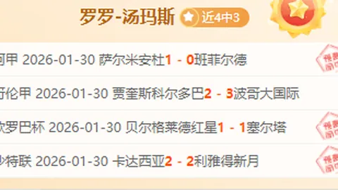 舒勇委员履职纪实：文化纽带，连接世界桥梁
