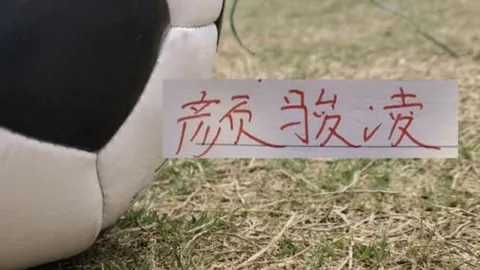 澳超凤凰主战场悉尼：3连胜背后数据揭示疑点